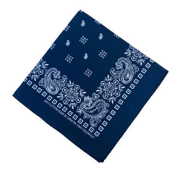 BANDANA--Navy Blue Paisley Print